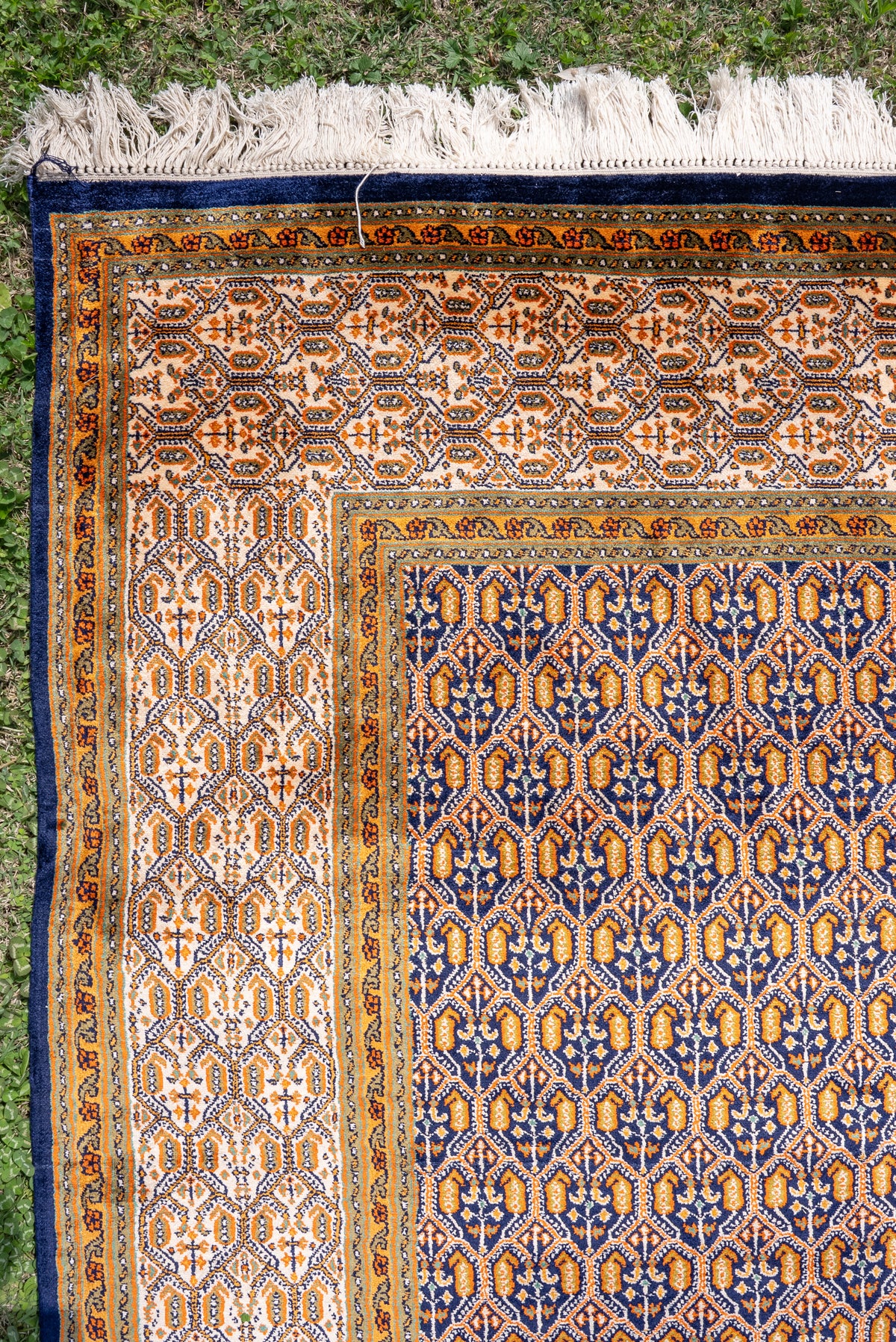 6ft x 4ft: Midnight Saffron Lattice: Hand Knotted Mulberry silk on silk Kashmiri Carpet