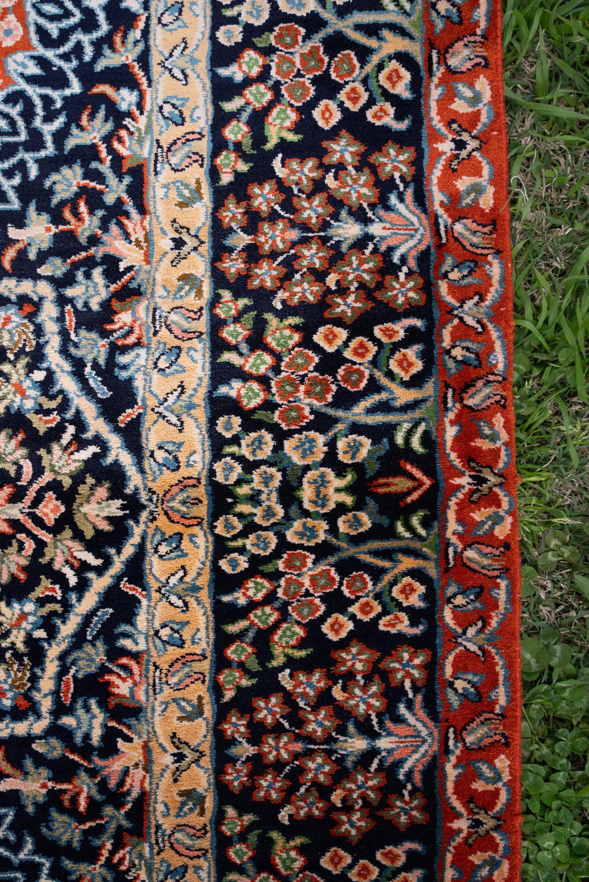 Close-up of the silk carpet's dark floral border between narrow ivory and red bands