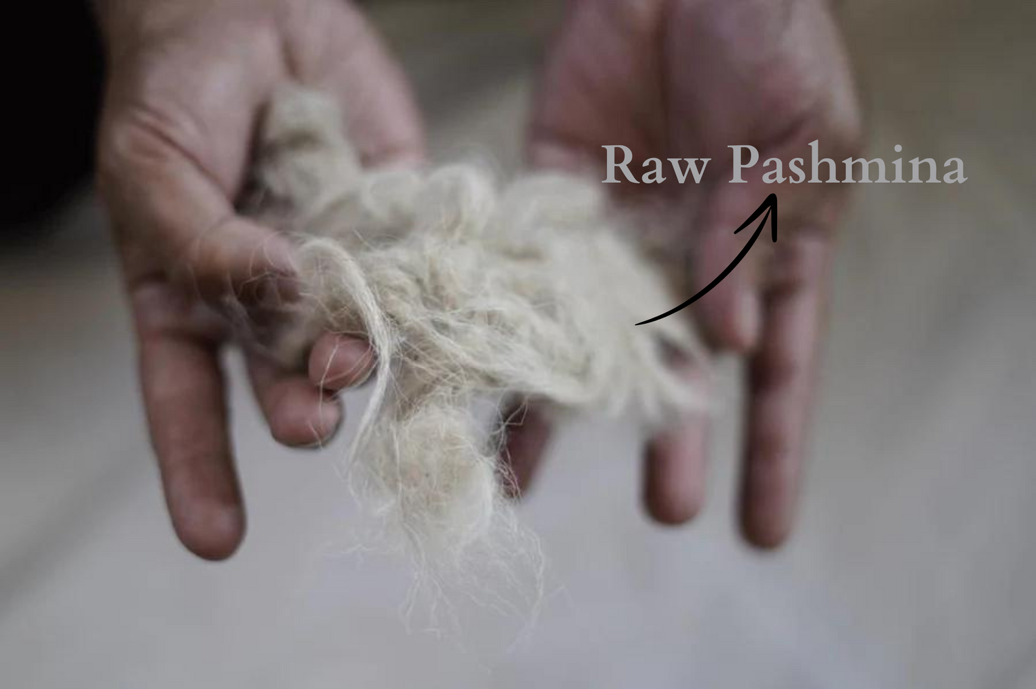 All Pure Pashmina (Cashmere)