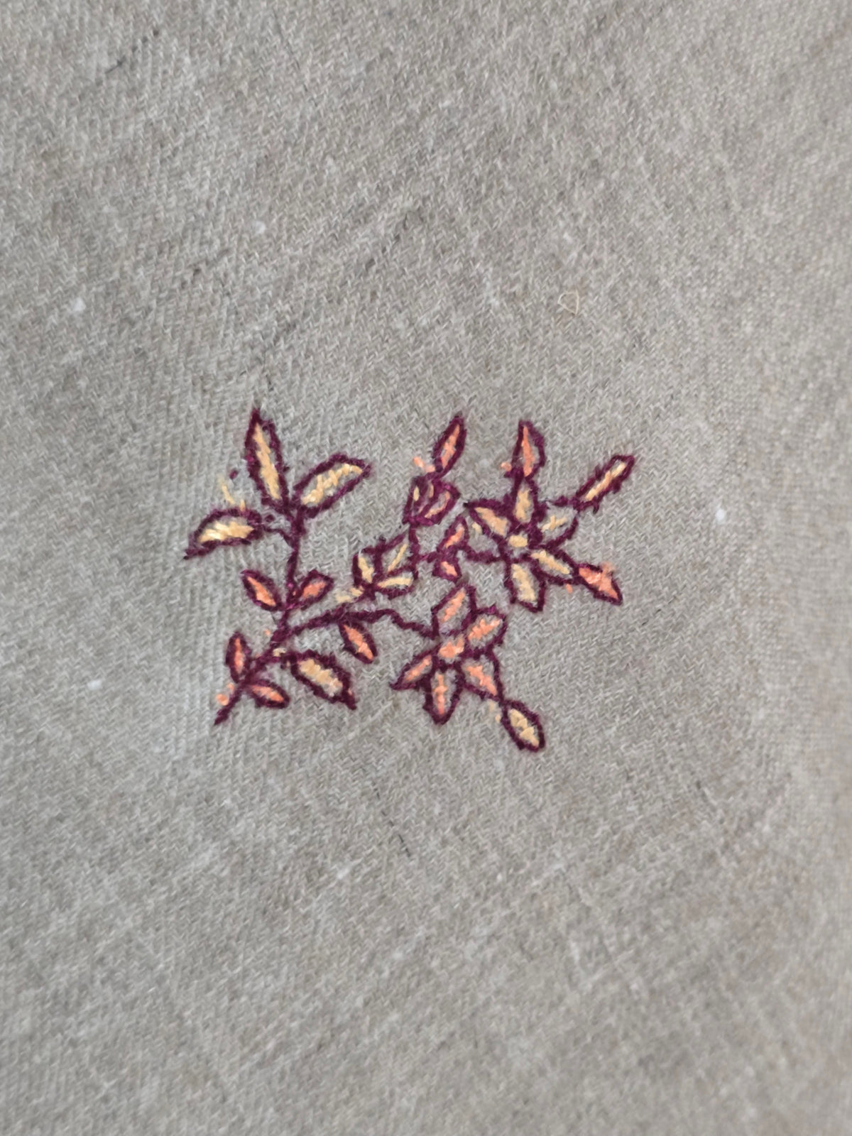Amber Regal Border: Hand Embroidered Pure Pashmina Shawl
