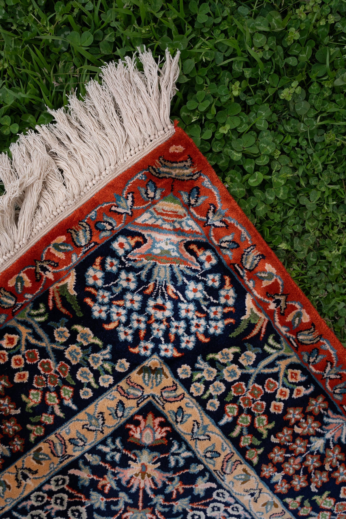Angled detail of the silk carpet's red floral corner border and pale fringe on grass