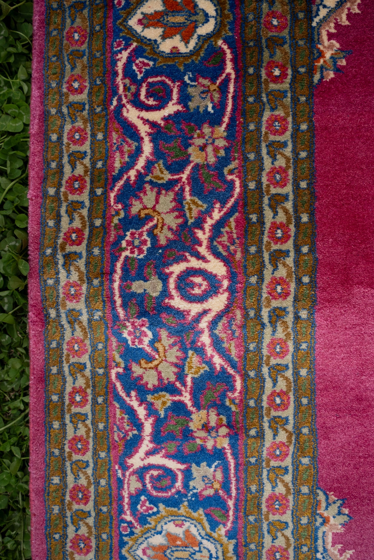 Close-up of curling cream vines and floral motifs along the rose carpet's blue side border