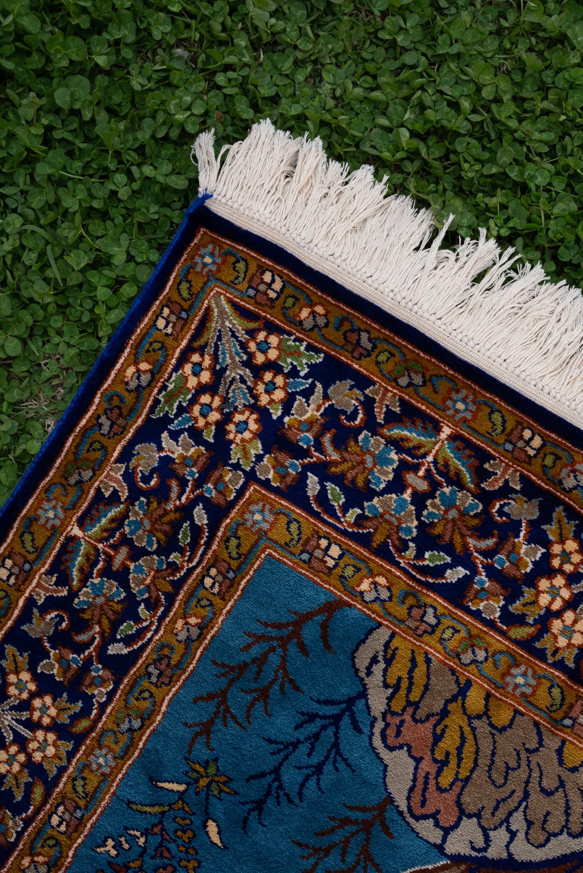 2.5ft x 4ft Enchanted Tree of Life: Hand Knotted Mulberry silk on silk Kashmiri Carpet