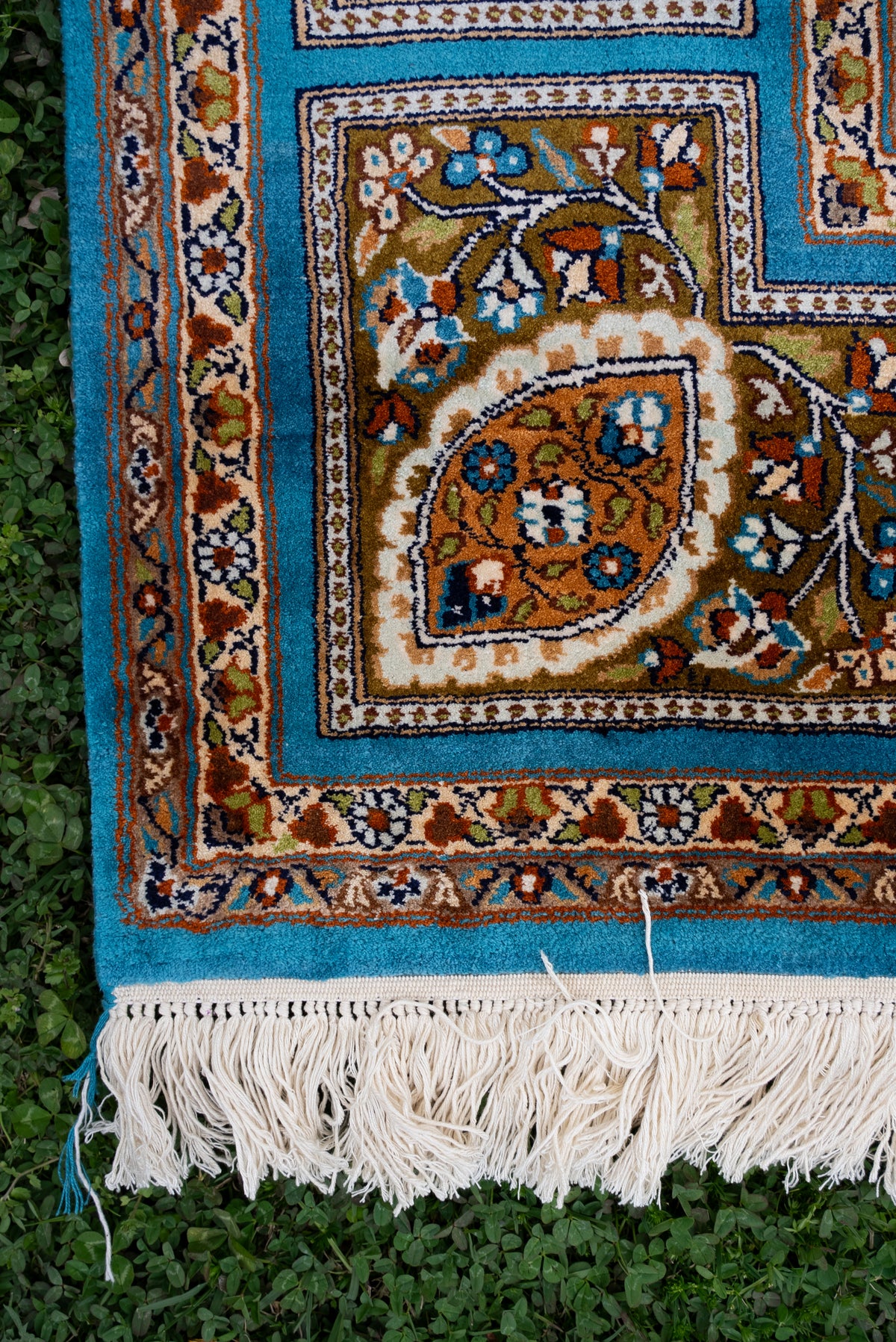 7ft x 5ft Hand Knotted Mulberry silk on silk Kashmiri Carpet