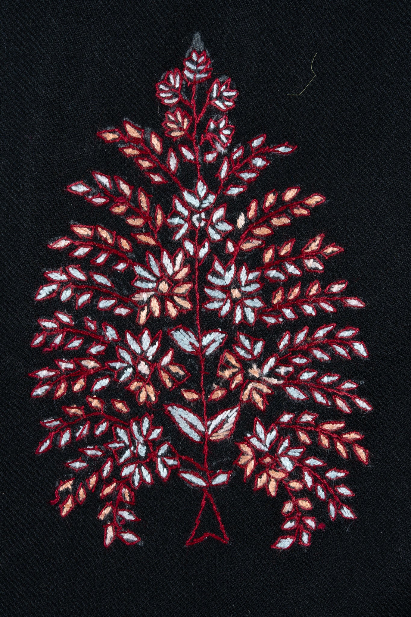 Midnight Blossom Sozni Hand Embroidered Suit