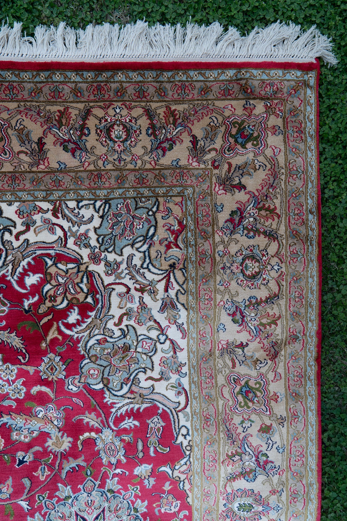 Upper corner of a crimson mulberry silk carpet with cream floral corner motifs, broad beige borders and white fringe