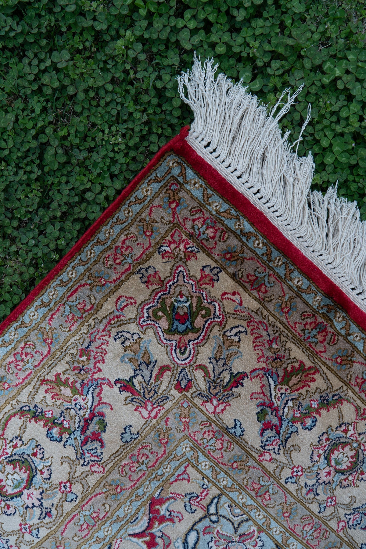 Angled corner of a mulberry silk carpet on grass, with a pale beige floral border, red edging and white fringe