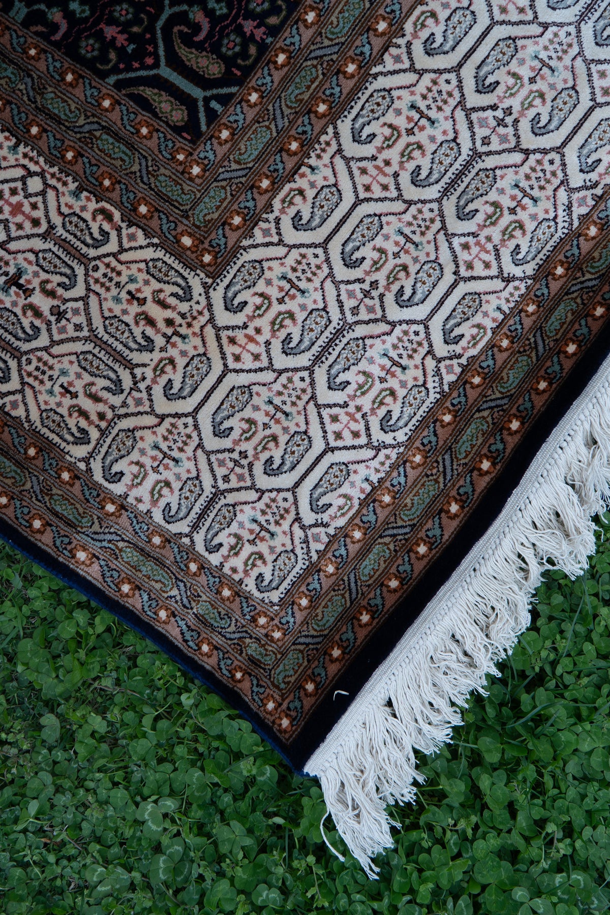 7FT x 5FT Midnight Lattice Harmony: Hand Knotted Mulberry silk on silk Kashmiri Carpet