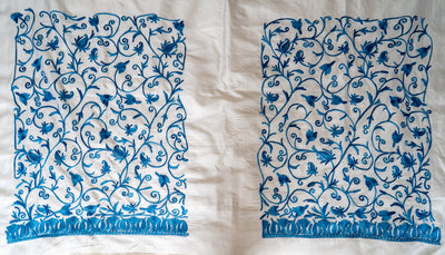 Neela Bahaar: Aari Embroidered Saree in Ivory and Sapphire